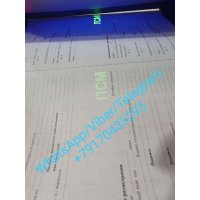 Купить Документы на автомобиль и спецтехнику - СТС ПТС,  ПСМ,  СоРСМ,  дубликат (копию)  своих прав на авто или спецтехнику (тра